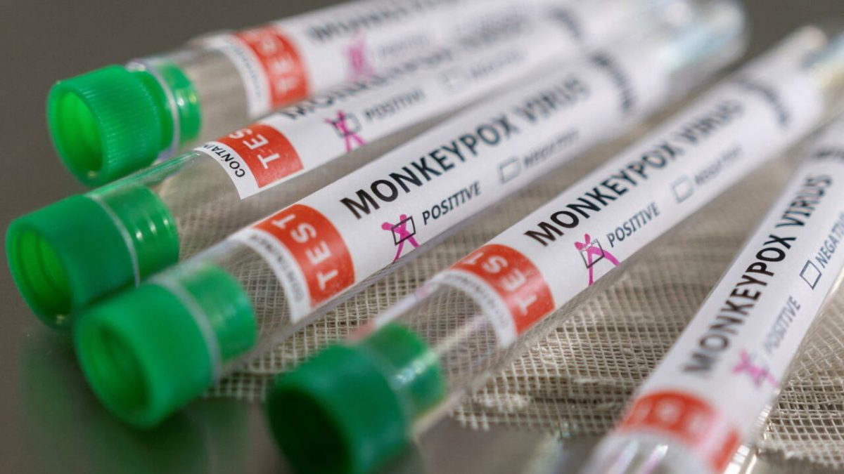 Risk of monkeypox spreading widely ‘very low’