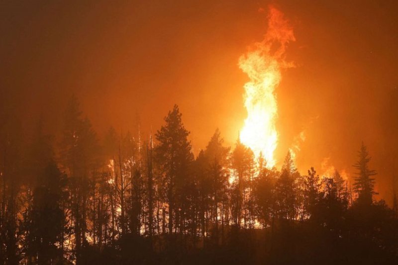 Hundreds of firefighters in California are battling the largest wildfire to spread in the state so far this year.