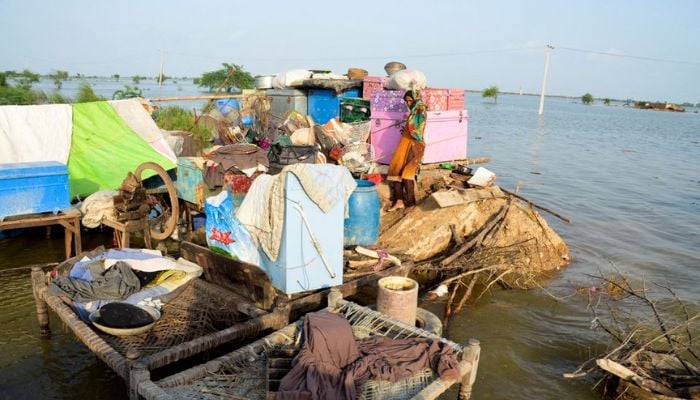 Climate change deadlier than cancer in parts of world, including Pakistan: UNDP