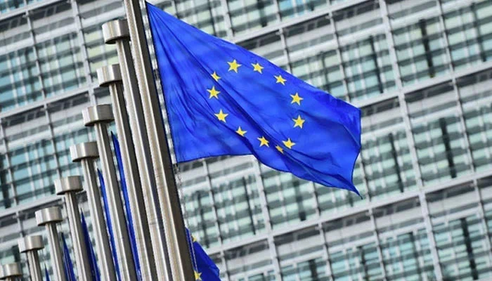 EU not to send full election observation mission for Feb 8 polls