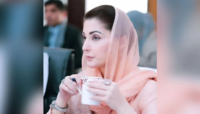 Maryam Nawaz briefed on uplift projects even before Punjab CM election