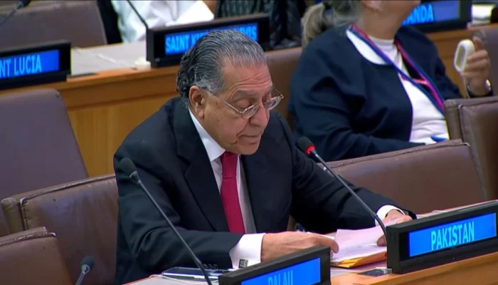 Veto power countries behind UNSC’s failure to establish peace in Gaza, Ukraine: Pakistan