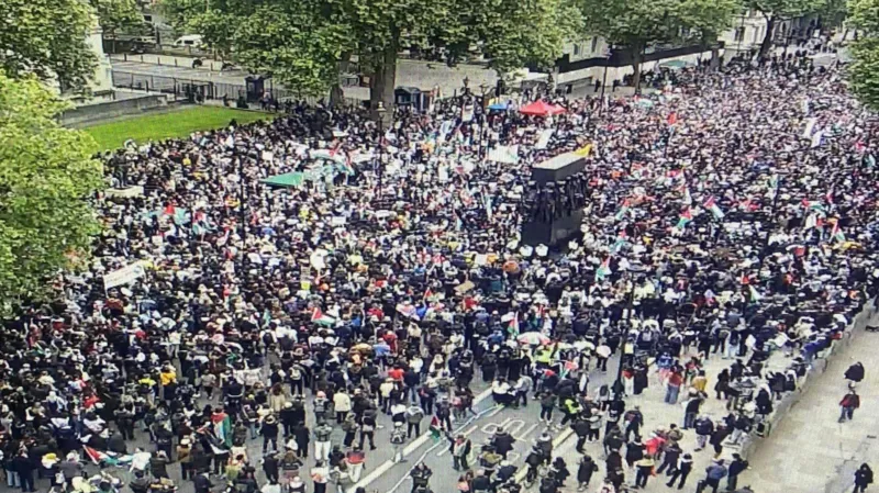 Three London police hurt as pro-Palestine protesters breach deadline – Met