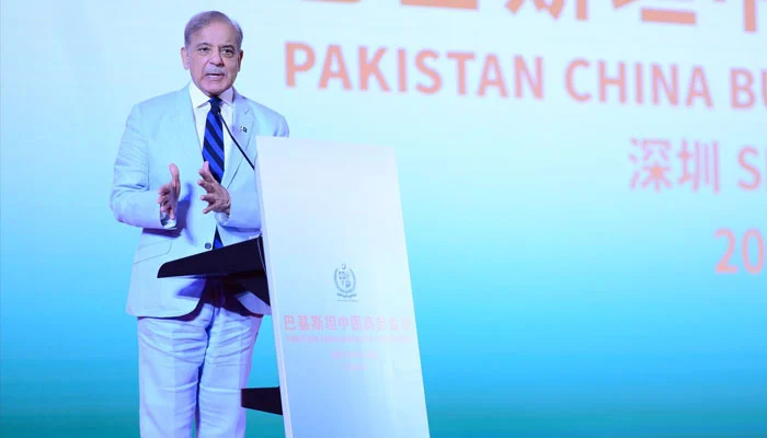PM Shehbaz guarantees facilitation, security to Chinese investment