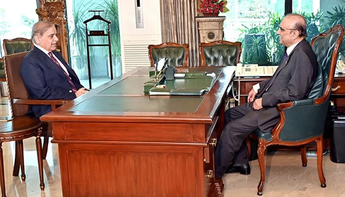 President Zardari forms National Economic Council, names PM Shehbaz its chairman