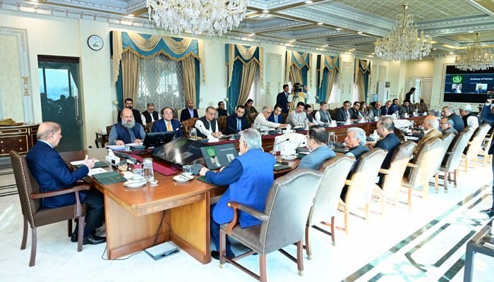 Budget 2024-25: PM Shehbaz to review development programmes in NEC meeting today