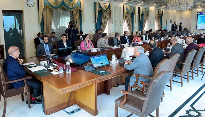 PM Shehbaz forms high-level committee to deal with monsoon emergencies