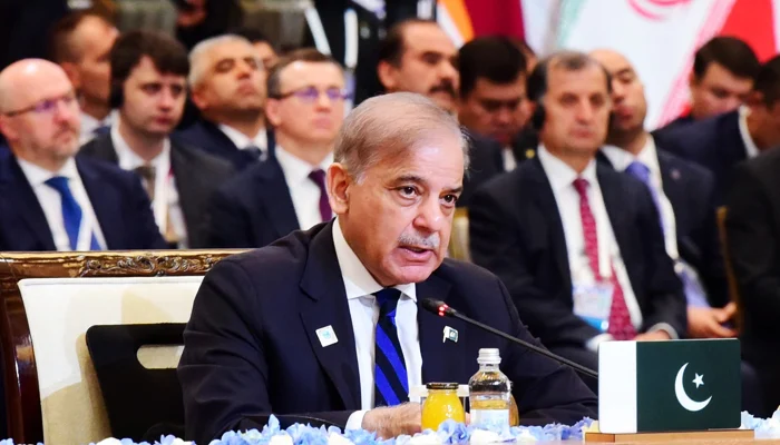 At SCO summit, PM Shehbaz says state terrorism must be condemned unambiguously